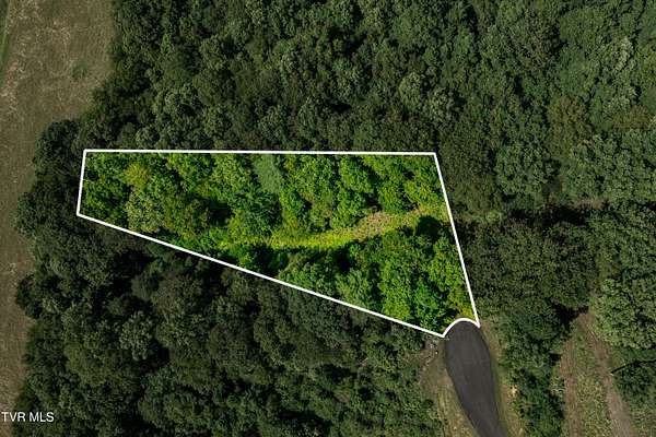 1.19 Acres of Residential Land for Sale in Butler, Tennessee