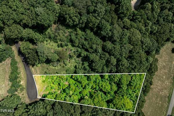1.2 Acres of Residential Land for Sale in Butler, Tennessee