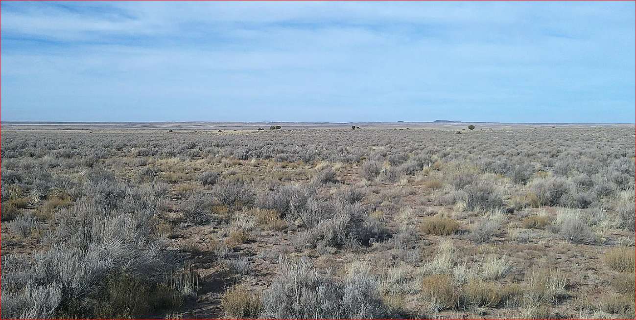 35.9 Acres of Land for Sale in Concho, Arizona