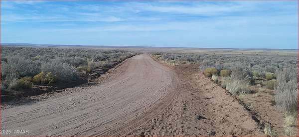 35.9 Acres of Land for Sale in Concho, Arizona
