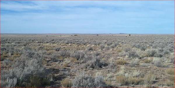 35.9 Acres of Land for Sale in Concho, Arizona
