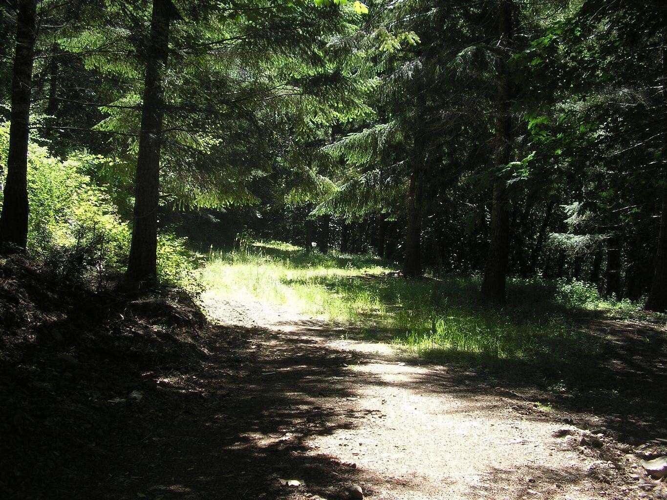 63.7 Acres of Agricultural Land for Sale in Weitchpec, California