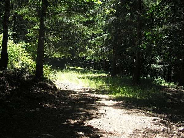 63.7 Acres of Agricultural Land for Sale in Weitchpec, California