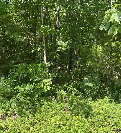 327 Acres of Land for Sale in Monticello, Kentucky