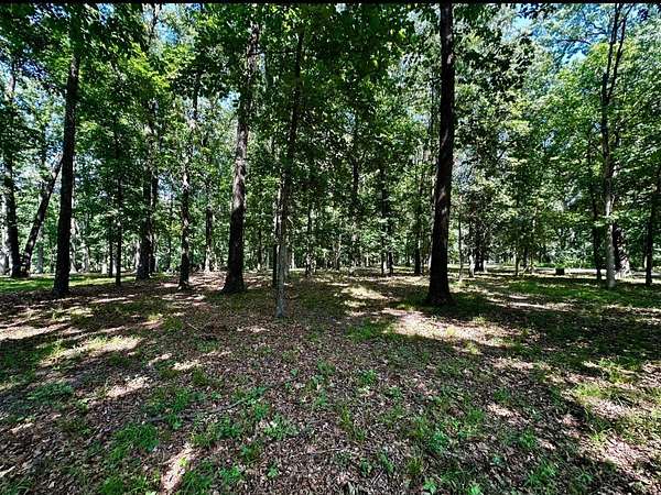 0.45 Acres of Land for Sale in Pana, Illinois