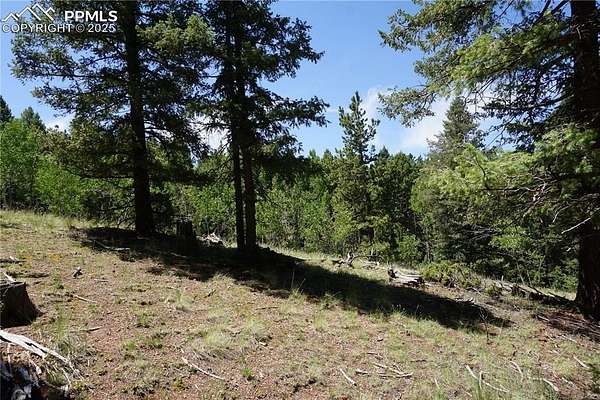 1.16 Acres of Residential Land for Sale in Cripple Creek, Colorado