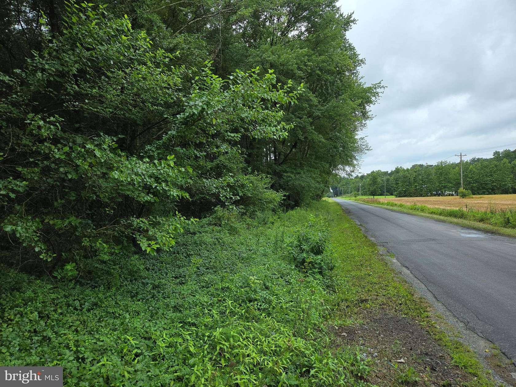 2 Acres of Residential Land for Sale in Cambridge, Maryland