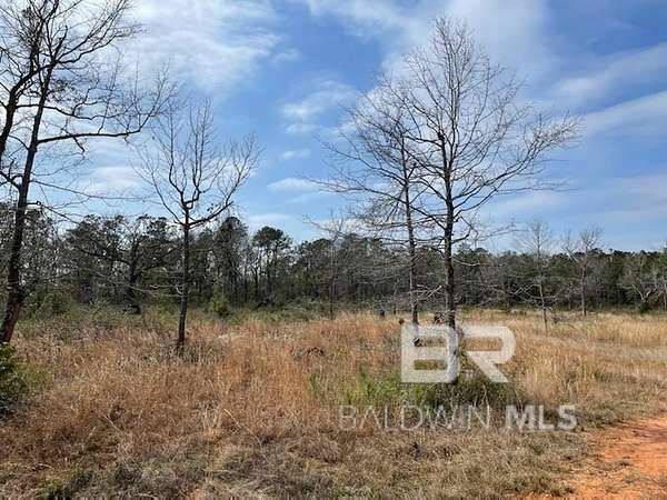6.36 Acres of Residential Land for Sale in Fairhope, Alabama