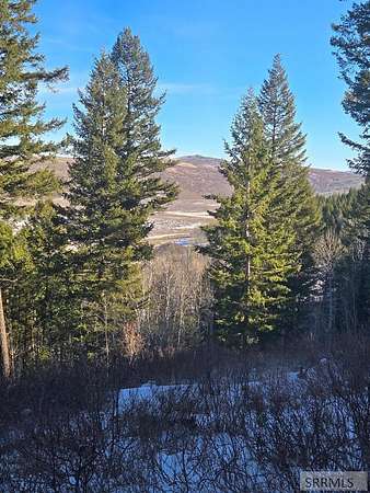 40 Acres of Recreational Land for Sale in Firth, Idaho