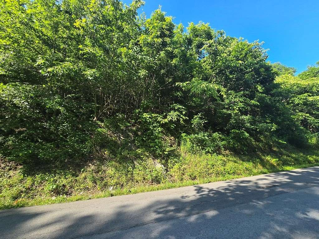 33.6 Acres of Land for Sale in Cedar Bluff, Virginia