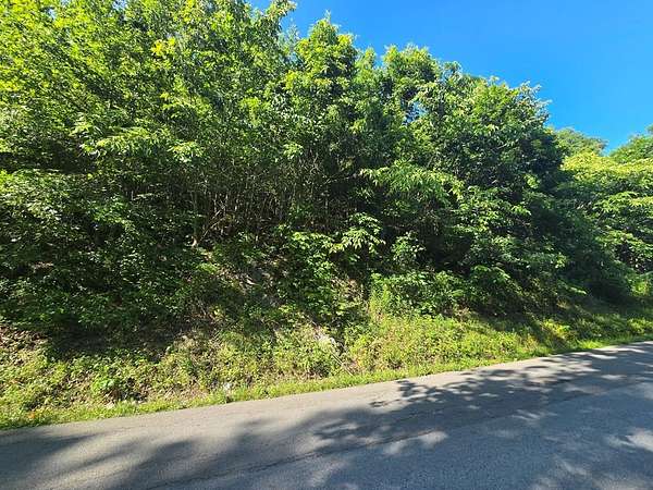 33.6 Acres of Land for Sale in Cedar Bluff, Virginia