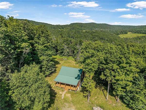 27 Acres of Land for Sale in Cameron, New York