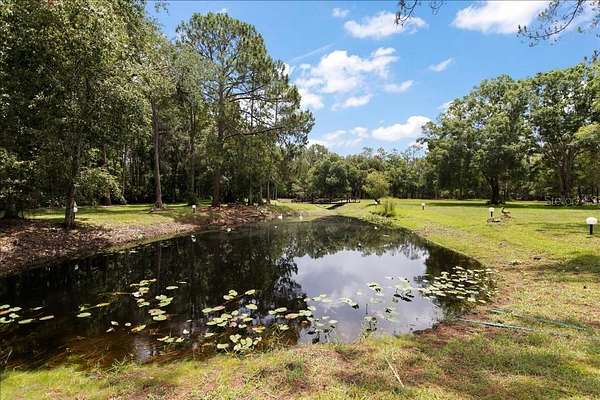 5.1 Acres of Land with Home for Sale in Tarpon Springs, Florida