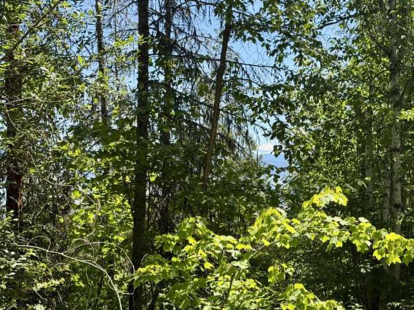 64.3 Acres of Recreational Land for Sale in Danville, Washington
