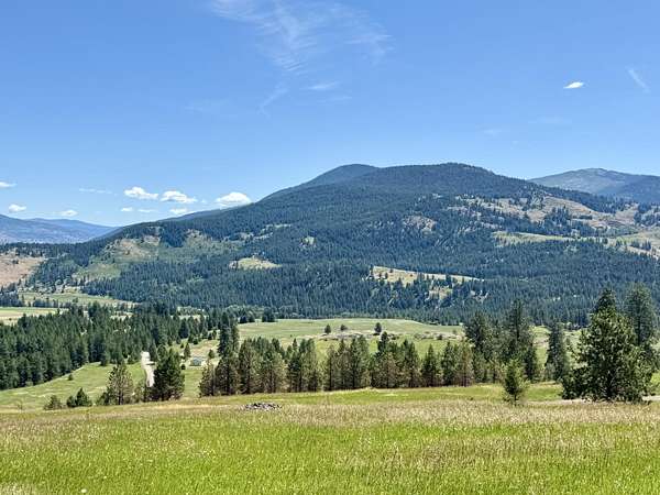 42 Acres of Recreational Land for Sale in Danville, Washington