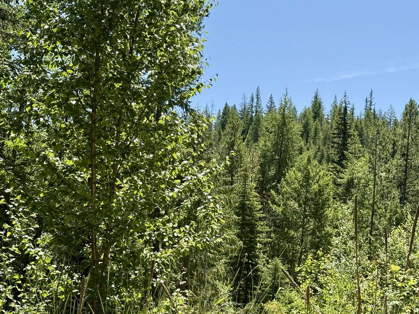 22.2 Acres of Recreational Land for Sale in Danville, Washington