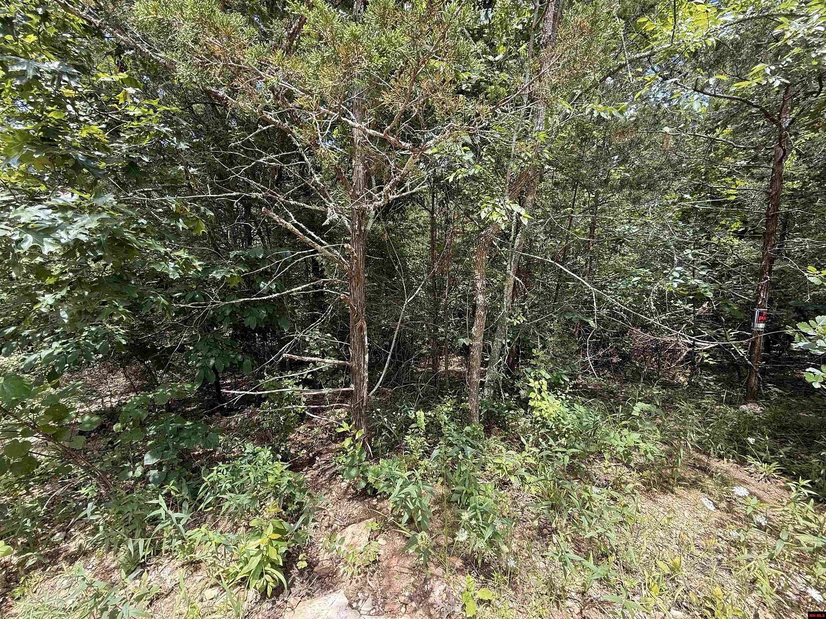 0.14 Acres of Land for Sale in Henderson, Arkansas
