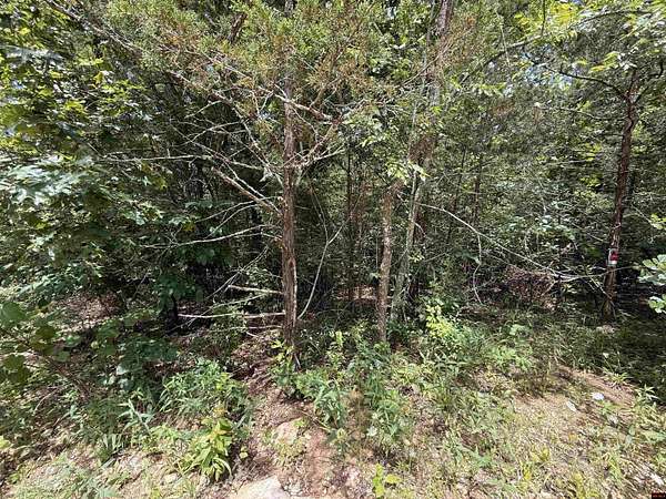 0.14 Acres of Land for Sale in Henderson, Arkansas