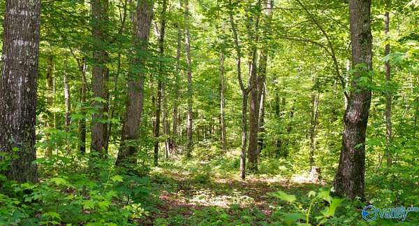 43 Acres of Recreational Land for Sale in Ashland, Alabama