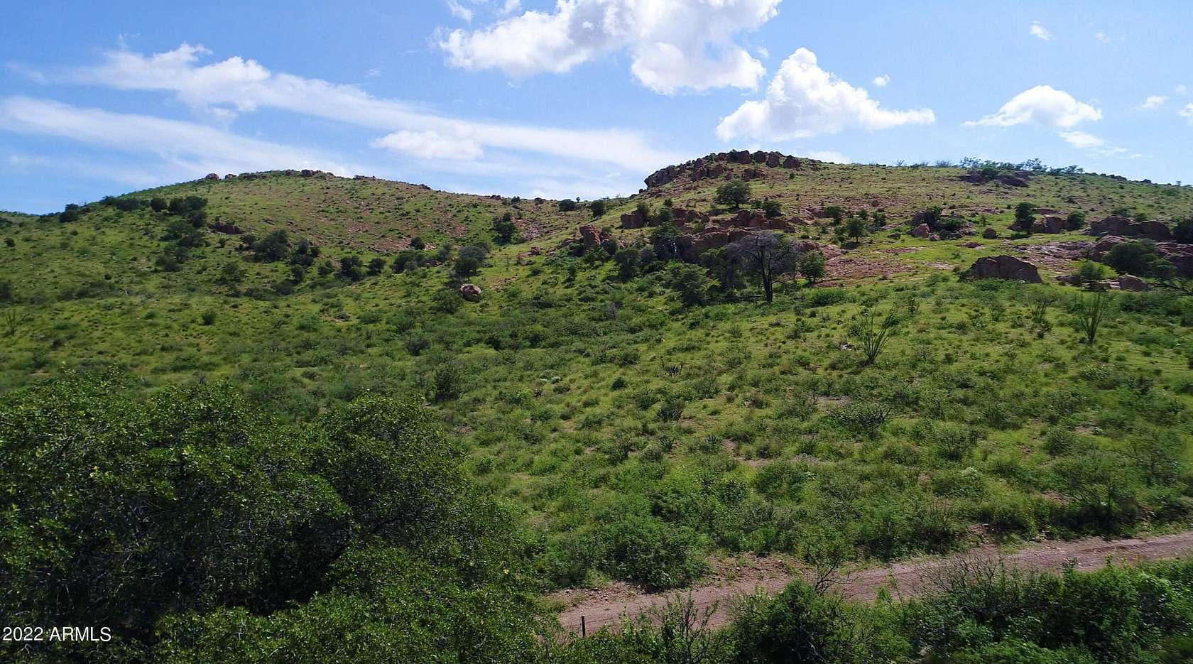 39.2 Acres of Land for Sale in Douglas, Arizona