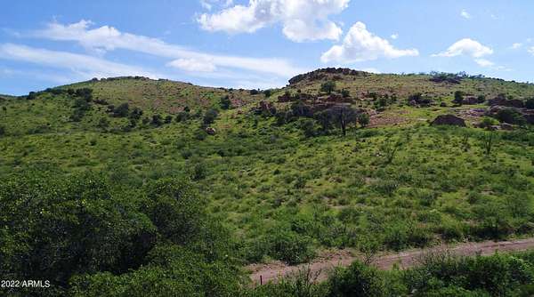 39.2 Acres of Land for Sale in Douglas, Arizona