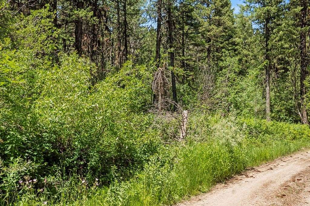 0.59 Acres of Land for Sale in Cascade, Idaho