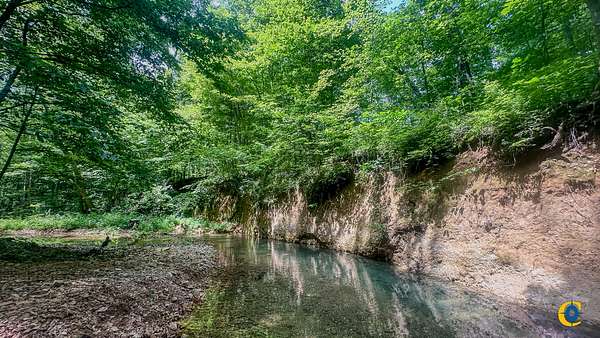 11 Acres of Recreational Land for Sale in Camden, Tennessee