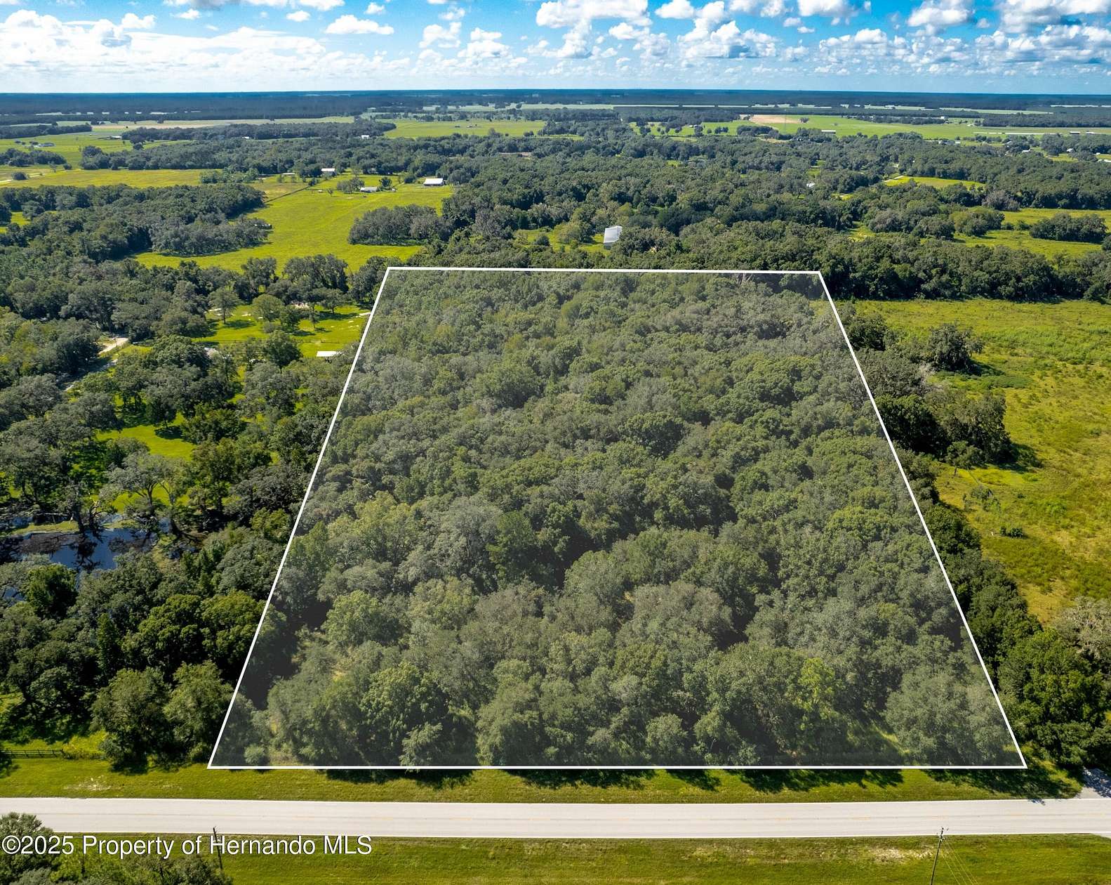 33.9 Acres of Agricultural Land for Sale in Brooksville, Florida