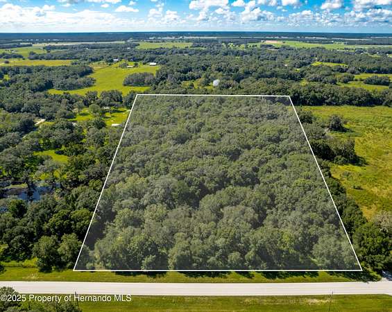 33.9 Acres of Agricultural Land for Sale in Brooksville, Florida