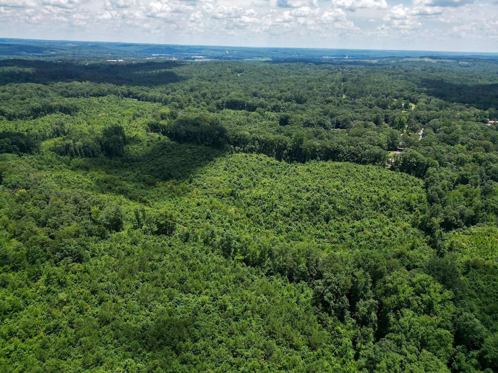 66 Acres of Recreational & Residential Land for Sale in Hamilton, Alabama