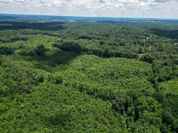 66 Acres of Recreational & Residential Land for Sale in Hamilton, Alabama