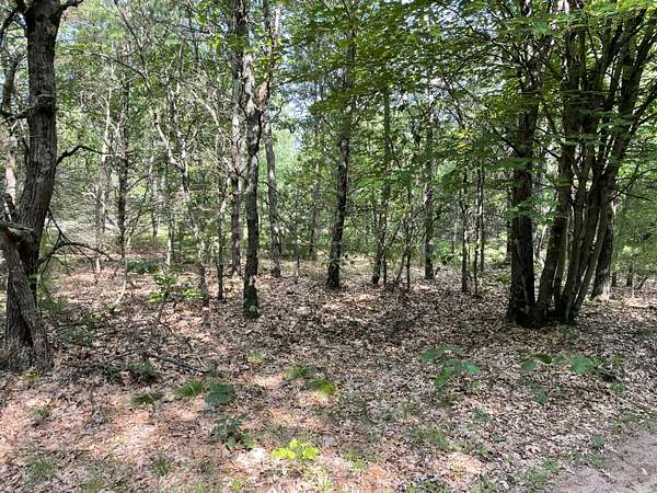 50 Acres of Land for Sale in Holton, Michigan