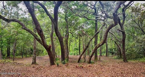 1.89 Acres of Land for Sale in Interlachen, Florida