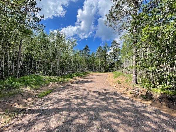 74.8 Acres of Land for Sale in Springbrook, Wisconsin