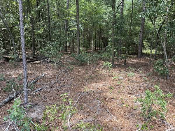 2 Acres of Land for Sale in Wagener, South Carolina