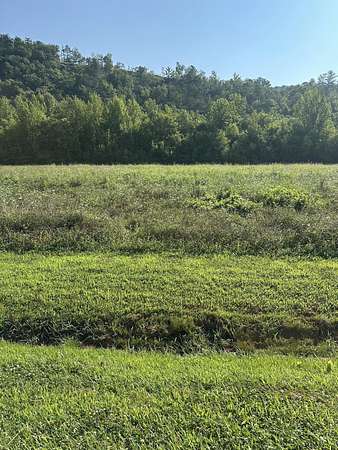 1.39 Acres of Residential Land for Sale in Del Rio, Tennessee