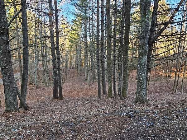 1.39 Acres of Land for Sale in Murphy, North Carolina