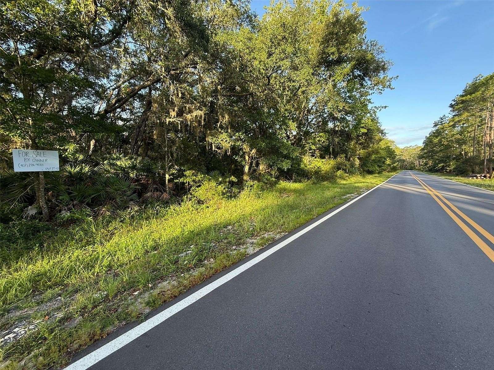 0.23 Acres of Residential Land for Sale in Interlachen, Florida