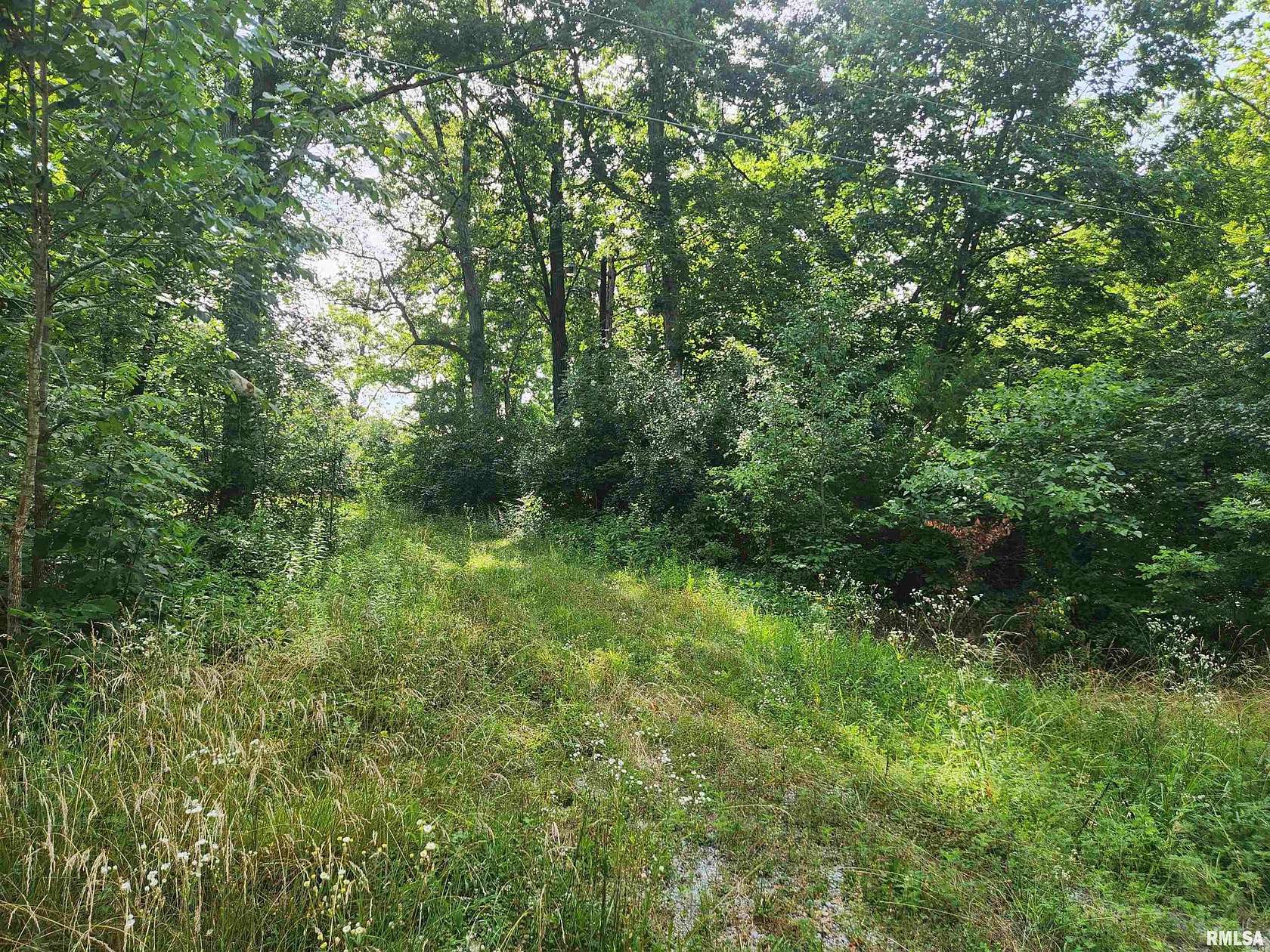 1 Acre of Residential Land for Sale in Woodlawn, Illinois