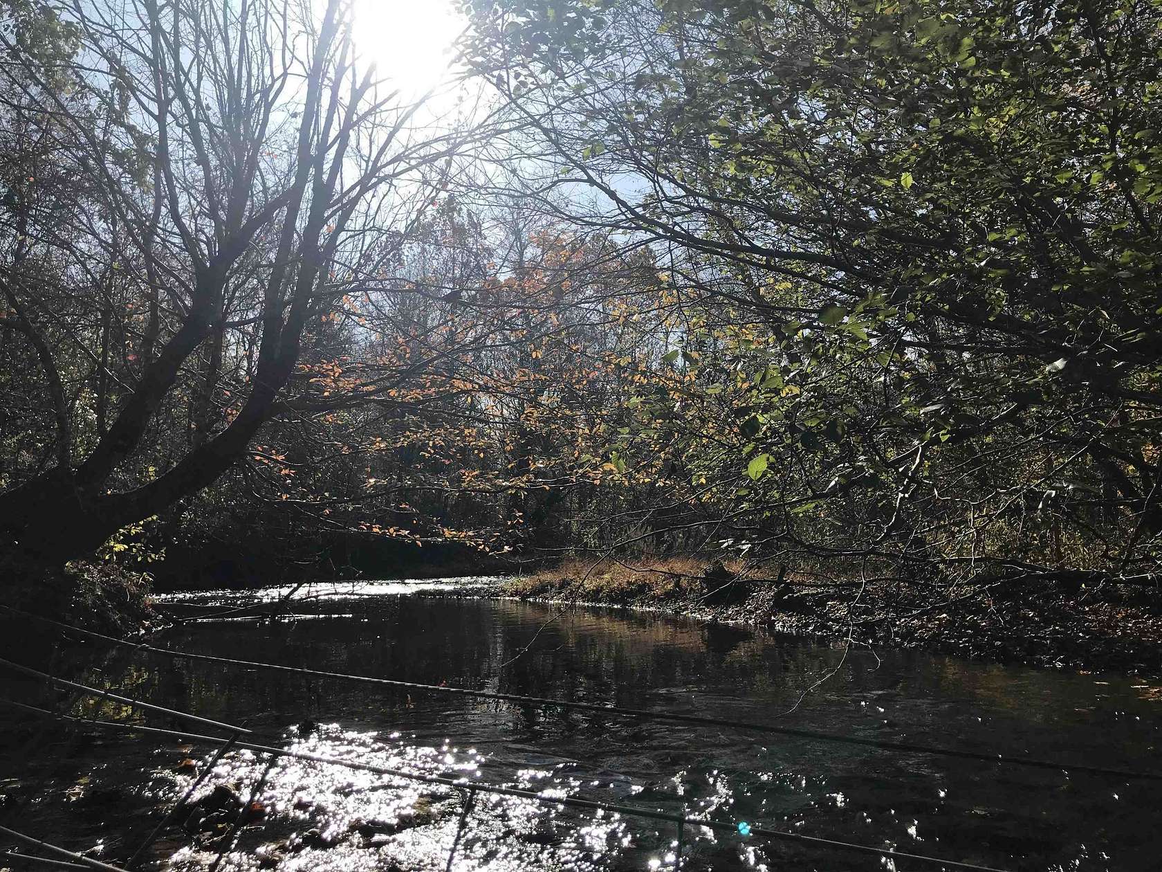 8.7 Acres of Residential Land for Sale in Lutts, Tennessee