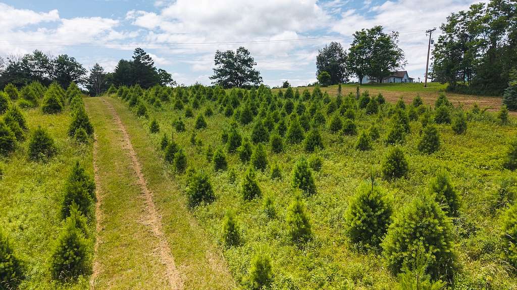 2.6 Acres of Residential Land for Sale in Willis, Virginia