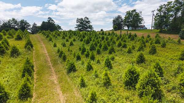 2.6 Acres of Residential Land for Sale in Willis, Virginia