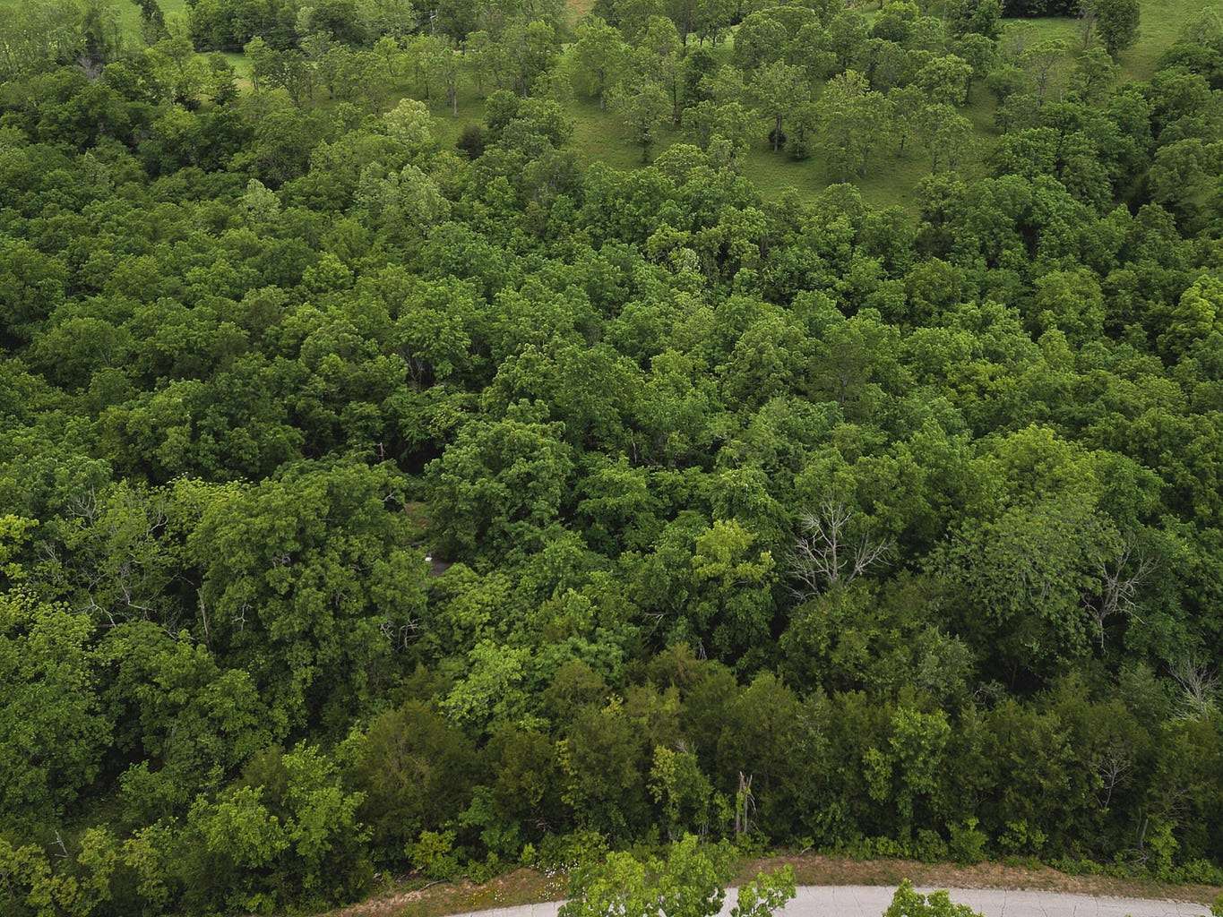 10 Acres of Recreational Land & Farm for Sale in Wasola, Missouri