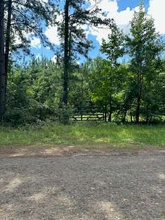 16.8 Acres of Land for Sale in Harleton, Texas