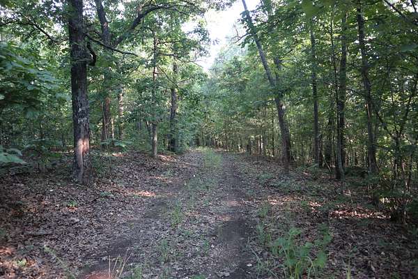 40 Acres of Recreational Land & Farm for Sale in Ash Flat, Arkansas