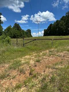 100 Acres of Land for Sale in Harleton, Texas