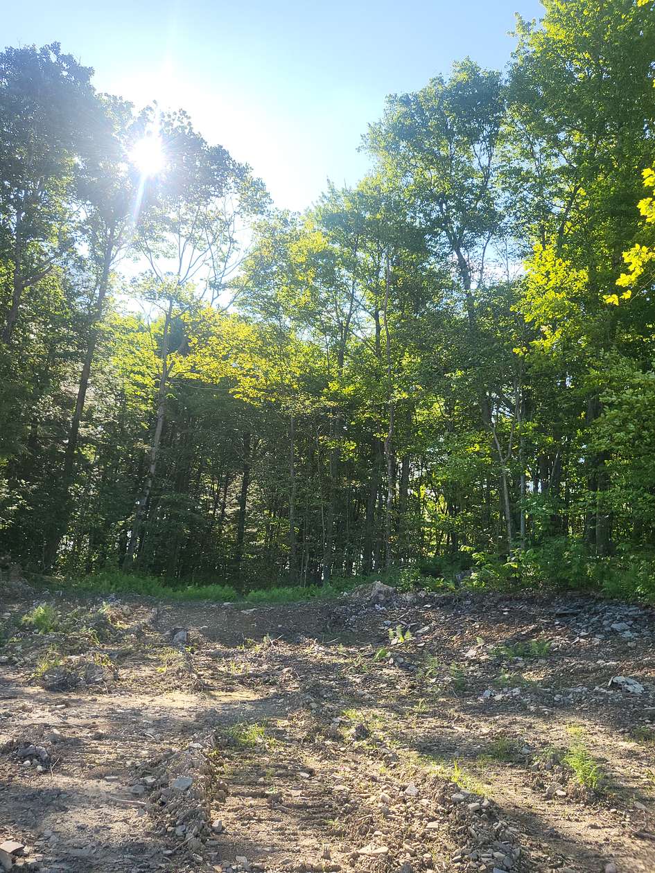 22 Acres of Recreational Land & Farm for Sale in Windsor, New York