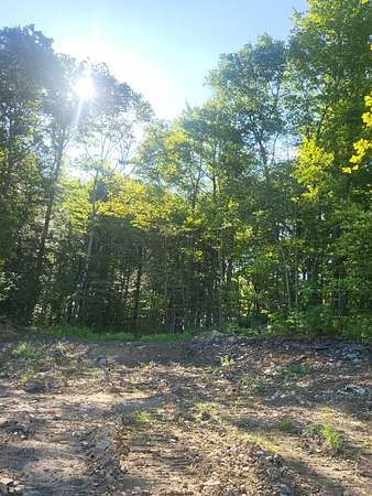 22 Acres of Recreational Land & Farm for Sale in Windsor, New York