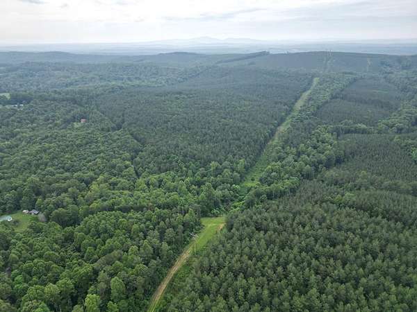 105 Acres of Land for Sale in Gladstone, Virginia