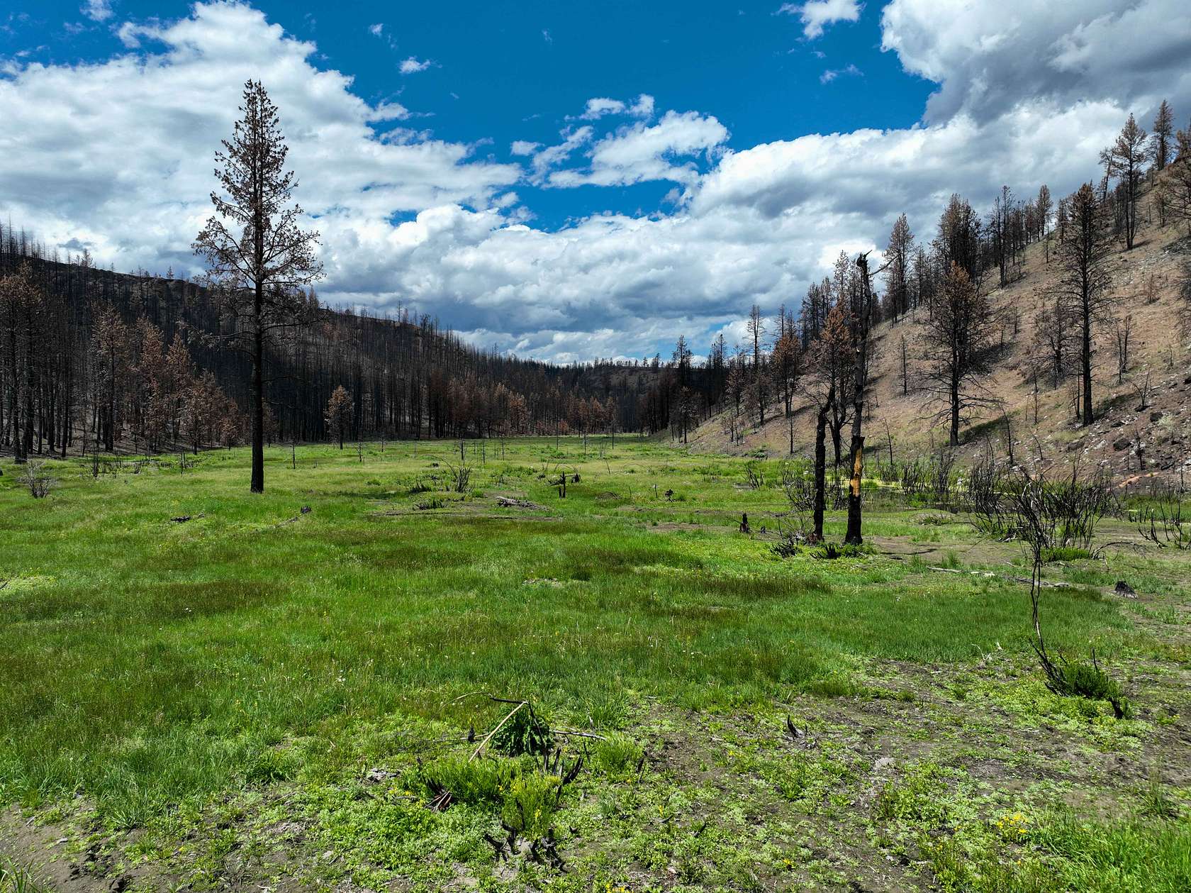 320 Acres of Recreational Land & Farm for Sale in Burns, Oregon